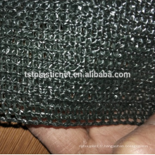 Farm Plain Tissage Ombre Net Agricultura Vert et Noir Couleur (Filet Hebei Tuosite en plastique)